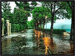 Deszcz, Ulica, Toscolano-Moderno, Włochy, Drzewo