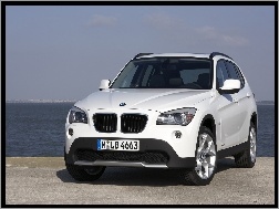 Diesel, Białe, BMW X1