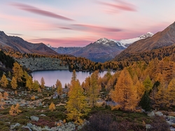 Dolina Val Poschiavo, Jezioro Lagh da Val Viola, Las, Kanton Gryzonia, Szwajcaria, Drzewa, Góry, Jesień