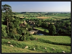 Wieś, Hrabstwo Somerset, Anglia, Farmy i pola