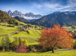 Domy, Santa Maddalena, Drzewa, Góry Dolomity, Dolina Val di Funes, Włochy, Wzgórza