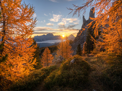 Góry, Dolomity, Włochy, Drzewa, Jesień, Promienie słońca