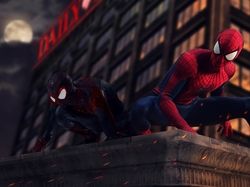 Dom, Spider-Man, Film, Dach