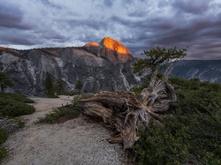 Stany Zjednoczone, Park Narodowy Yosemite, Konar, Góry, Szczyt Half Dome, Drzewa, Kalifornia