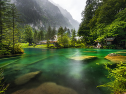 Kamienie, Kanton Berno, Jezioro Blausee, Las, Drzewa, Góry, Szwajcaria, Domy