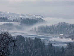 Wzgórza, Śnieg, Drzewa, Miejscowość Hirzel, Szwajcaria, Mgła, Zima, Domy
