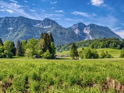Inzell, Bayerische Voralpen, Drzewa, Bawaria, Niemcy, Trawa, Góry, Domy