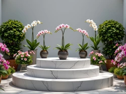 Podium, Kwiaty, Storczyki, Donice