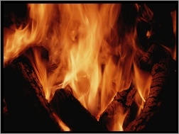Drewna, Ogień, Płomienie, Spalanie
