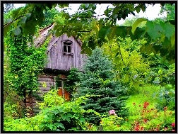 Ogród, Drewniany, Dom