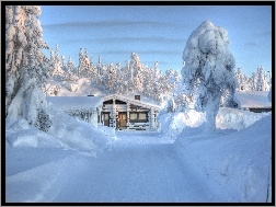 Śnieg, Domek, Droga, Drzewa