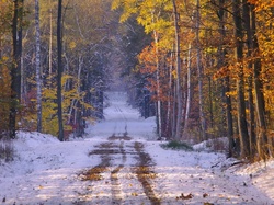 Droga, Pózna, Jesień, Drzewa, Las, Śnieg