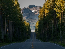 Droga South Entrance Road, Stan Wyoming, Park Narodowy Yellowstone, Grand Teton, Las, Ptak, Góry, Stany Zjednoczone, Szczyt Grand Teton