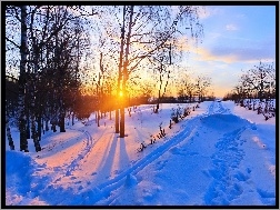 Droga, Słońca, Wschód, Zima, Drzewa