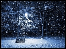Drzewa, Śnieg, Ławka, Zima