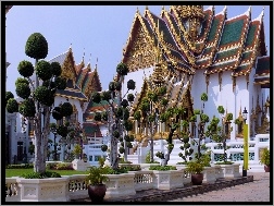 Drzewa, Pałac, Bangkok, Ozdobne