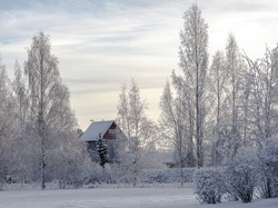 Drzewa, Zima, Dom
