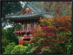 Drzewa, Zdobienia, Złote, Dom, Japonia