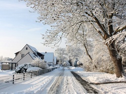 Drzewa, Śnieg, Droga, Domy