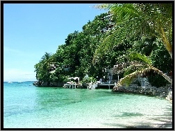 Filipiny, Drzewa, Skale, Hotel, Tropikalne, Morze, Na