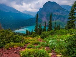 Rośliny, Chmury, Montana, Drzewa, Góry, Stany Zjednoczone, Park Narodowy Glacier, Grinnell Lake, Jezioro