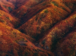 Drzewa, Jesień, Lasy, Góry, Kolorowe