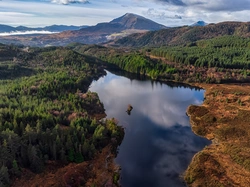 Llyn Bodgynydd, Góry, Lasy, Wielka Brytania, Z lotu ptaka, Drzewa, Walia, Jezioro