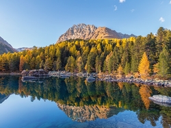 Drzewa, Kanton Gryzonia, Góry Alpy, Dolina Val di Campo, Jesień, Odbicie, Jezioro Lago di Saoseo, Szwajcaria, Kamienie