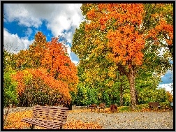 Drzewa, Park, Jesień, Ławki