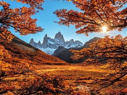 Jesień, Szczyt Fitz Roy, Patagonia, Drzewa, Gałęzie, Argentyna, Góry Andy, Promienie słońca