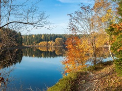 Jesień, Jezioro, Żółte, Drzewa
