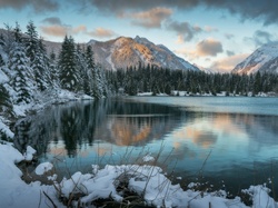 Jezioro Gold Creek Pond, Drzewa, Lasy, Stan Waszyngton, Stany Zjednoczone, Śnieg, Zima, Góry Kaskadowe