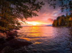 Region Pirkanmaa, Drzewa, Kamienie, Jezioro Näsijärvi, Finlandia, Zachód słońca