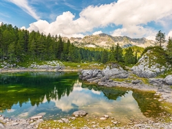 Słowenia, Drzewa, Chmury, Góry, Triglavski Park Narodowy, Jezioro