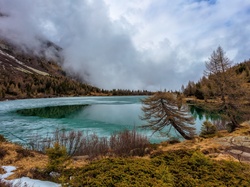 Mgła, Aviolo Lake, Jezioro, Włochy, Góry, Alpy, Drzewa