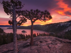 Lasy, Wyspa Fannette, Drzewa, Jezioro, Stany Zjednoczone, Kalifornia, Tahoe Lake, Park Emerald Bay