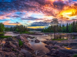Las, Teren Koiteli, Kiiminki, Finlandia, Drzewa, Kamienie, Wschód słońca, Rzeka Kiiminkijoki, Chmury