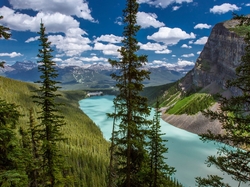 Drzewa, Park Narodowy Banff, Lasy, Góry, Jezioro Moraine, Kanada, Drzewa