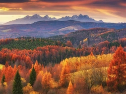 Chmury, Góry Lewockie, Drzewa, Jesień, Las, Słowacja