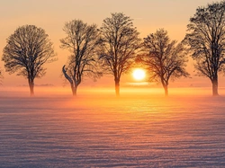 Wschód słońca, Zima, Drzewa, Pole, Mgła