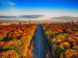 Drzewa, Jesień, Berlin, Niemcy, Droga