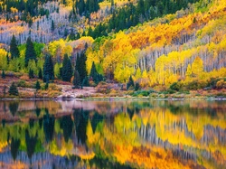 Jesień, Jezioro, Pożółkłe, Drzewa, Las, Odbicie
