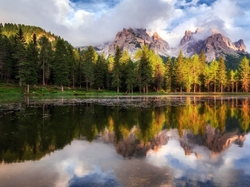 Włochy, Las, Drzewa, Chmury, Odbicie, Jezioro Antorno, Góry Dolomity, Region Cadore