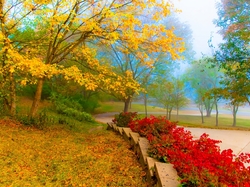 Drzewa, Ścieżka, Jesień, Krzewy, Park, Mgła