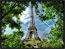 Drzewa, Wieża, Paryż, Eiffla