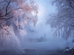 Poranek, Drzewa, Wędkarz, Szron, Mgła, Zima, Śnieg