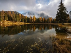 Włochy, Dolomity, Region Cadore, Jezioro Antorno, Las, Góry, Drzewa