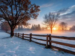 Chmury, Zima, Śnieg, Drzewa, Ogrodzenie, Zachód słońca
