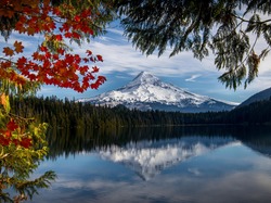 Stan Oregon, Jezioro Lost Lake, Drzewa, Góra, Stany Zjednoczone, Stratowulkan Mount Hood