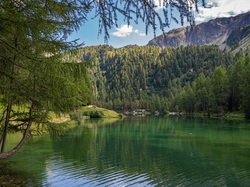 Drzewa, Jezioro, Góry, Szwajcaria, Las